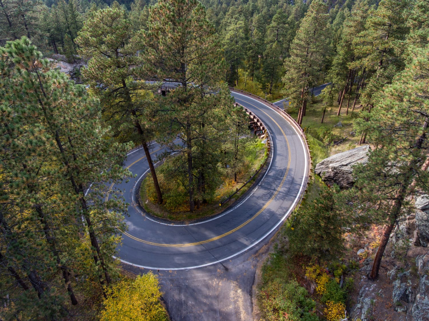 black hills in south dakota usa road trips