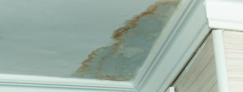 does home insurance cover water damage