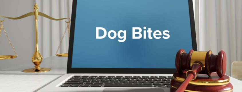 homeowners insurance after dog bites