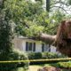 homeowners insurance and tree damage