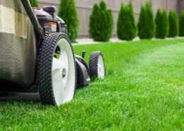 lawn care insurance for your business