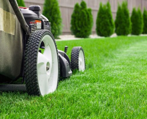 lawn care insurance for your business