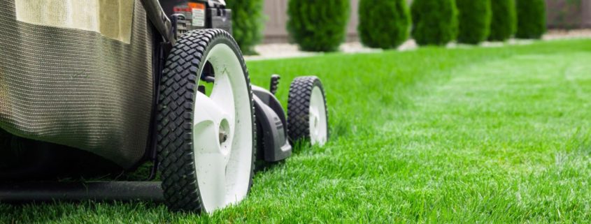 lawn care insurance for your business