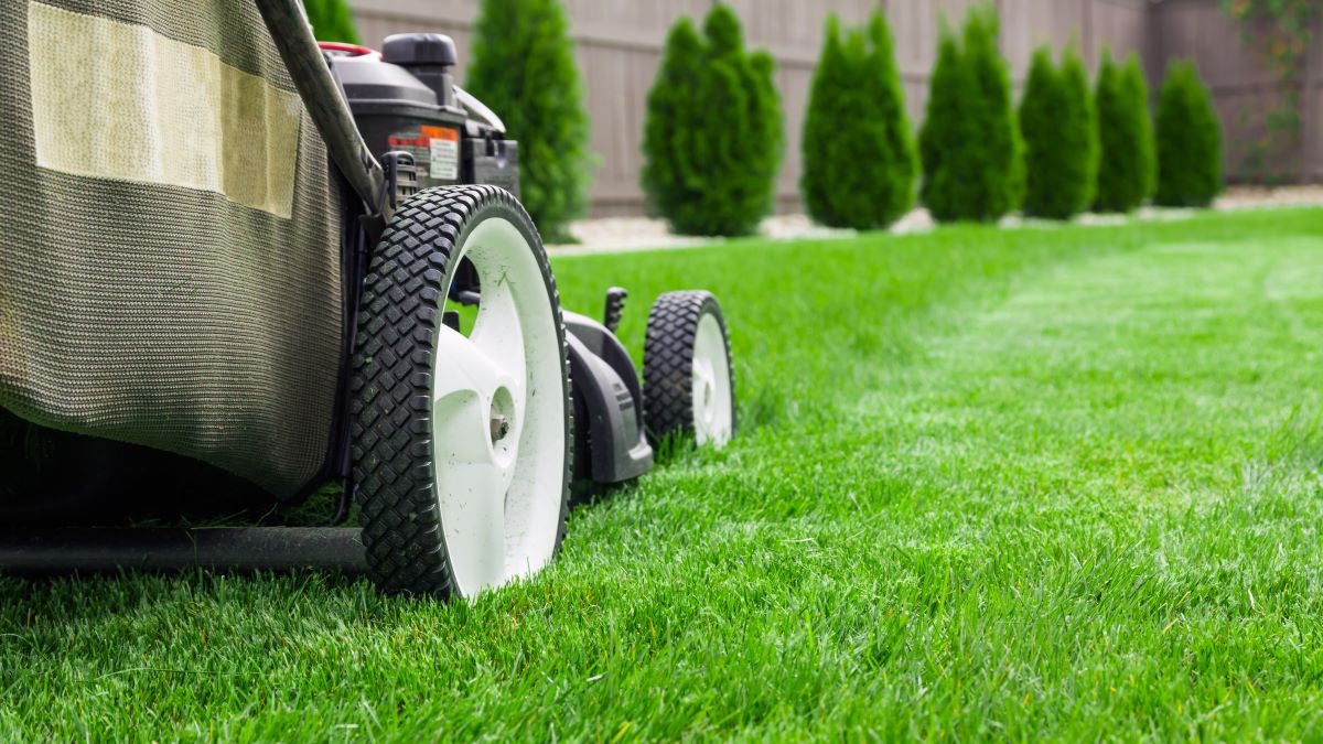 lawn care insurance for your business