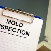 mold can mess up your homeowners insurance