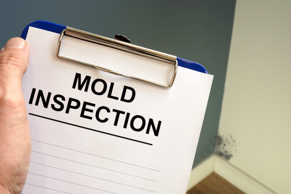 mold can mess up your homeowners insurance