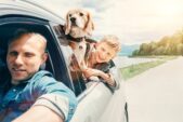 Plpd Insurance Mich PLPD Insurance Explained | What Is It? | EINSURANCE